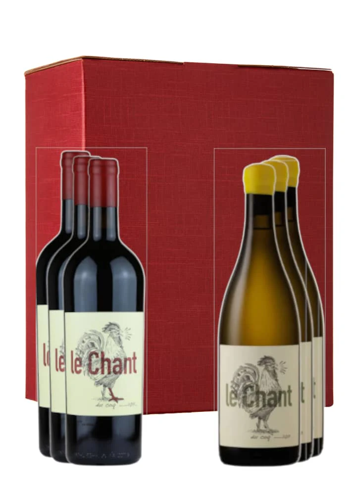 Cape Couple : - Image 3